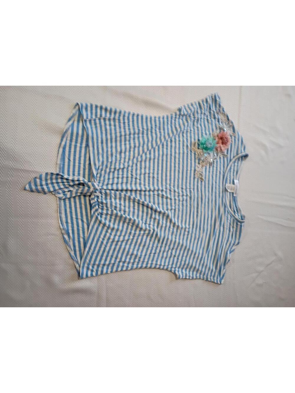 Blue and White Striped Short Sleeve Tie-Front Top with Embroidered Floral Detail